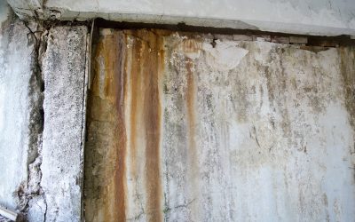 Bloque Water Damage Restoration