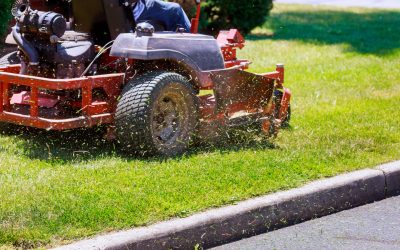 Cassara Landscape Management