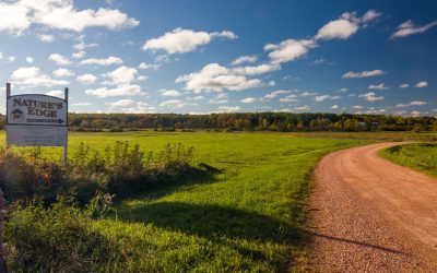 Nature’s Edge Therapy Center, Inc.